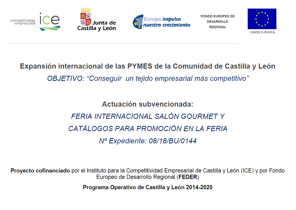 Expansión internacional de las pymes de castilla y león